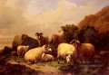 Moutons paissant par la Côte Eugène Verboeckhoven animal
